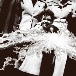 Helms Alee : Lionize - Truely